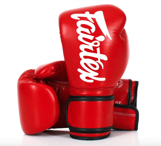 Fairtex Fight Gloves