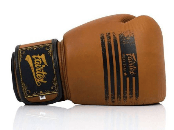 Fairtex Legacy boxningshandskar (BGV21)