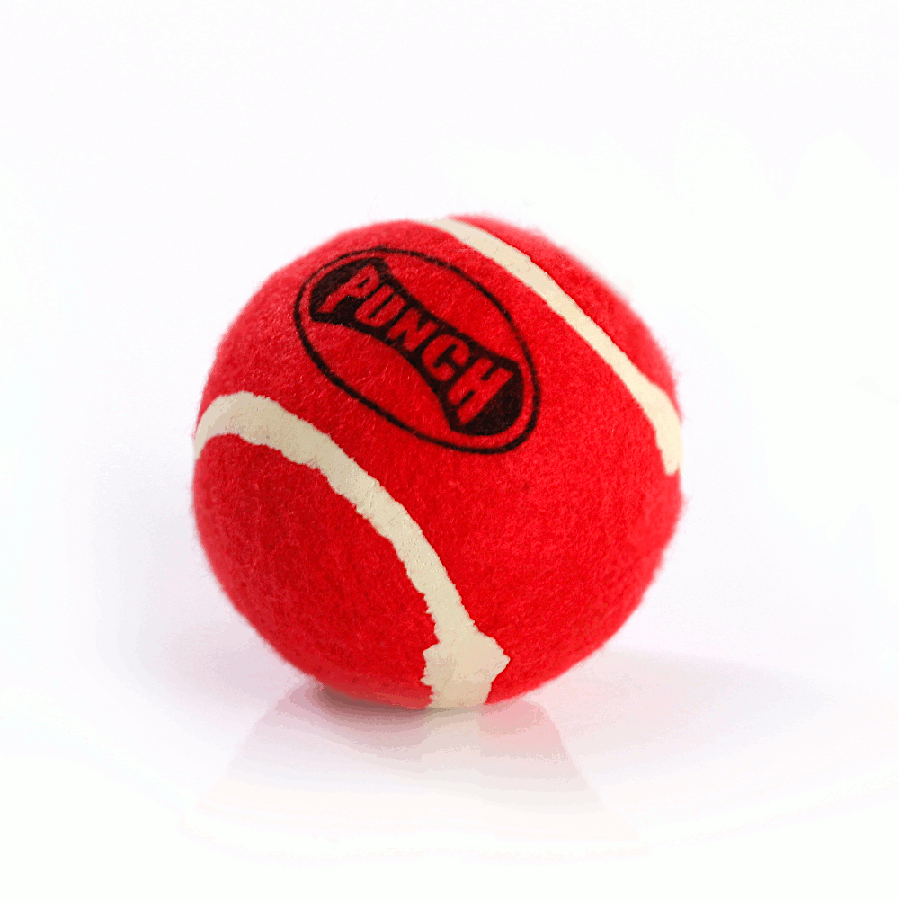 Punch Reflex Ball