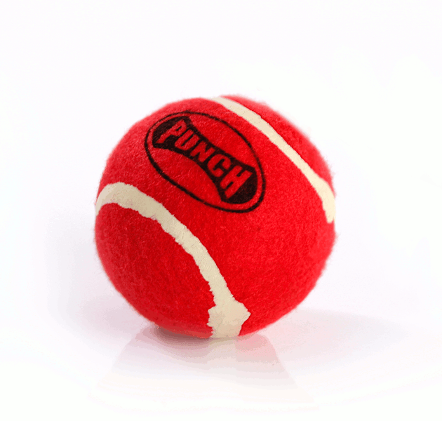 Punch Reflex Ball