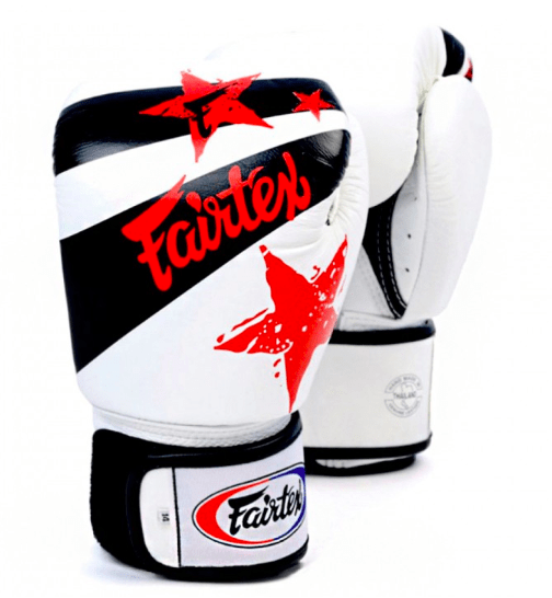 Fairtex BGV1 Boxing Gloves