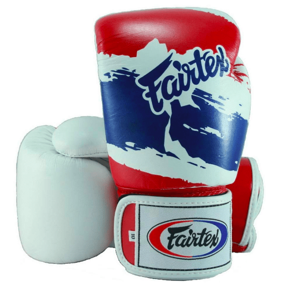 Fairtex 12oz Boxing Gloves